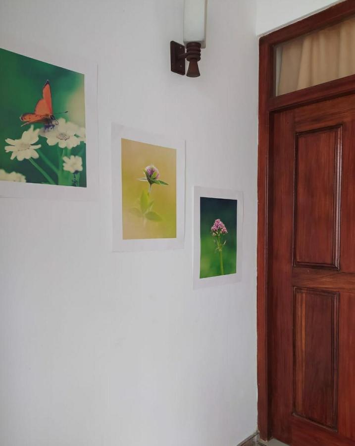 River Side Holiday Inn Weligama Kültér fotó